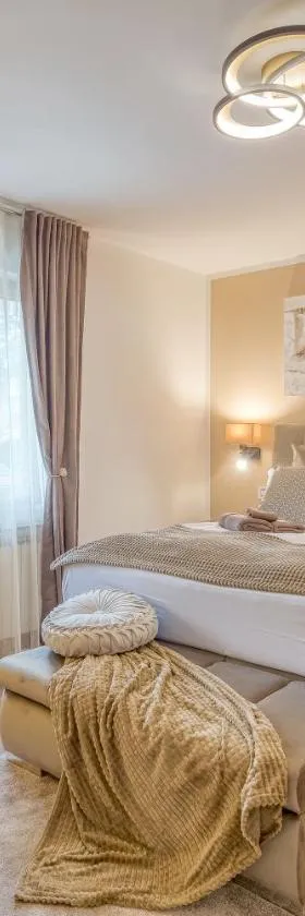 Apartment Nina Pazin，位于帕津的酒店