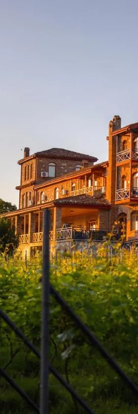Schuchmann Wines Château,Villas & SPA，位于泰拉维的酒店