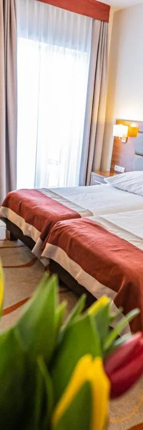 Hotel Olivia Medical SPA，位于Skomielna Czarna的酒店