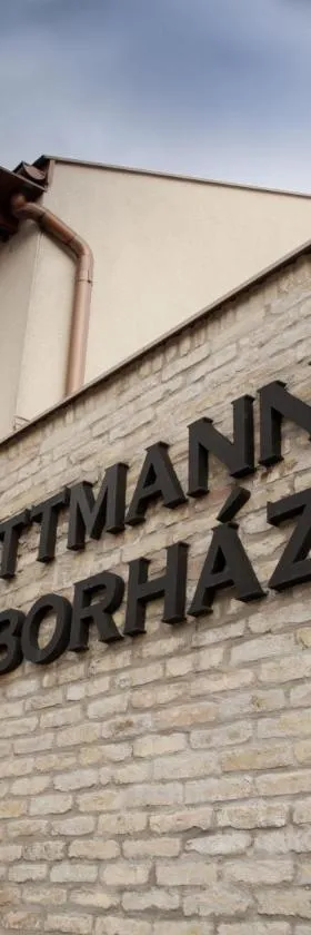 Frittmann Borház，位于绍尔特沃德凯特的酒店