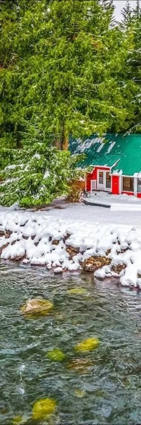 NEW: Steps from White River near Mount Rainier National Park，位于Greenwater的酒店