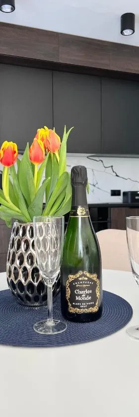 Silesia Apartments Ustron H125，位于乌斯特龙的酒店
