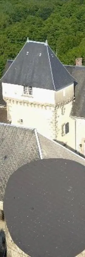 Château de Montautre，位于Fromental的酒店