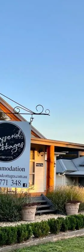 戴森德度假屋，位于默立基的酒店