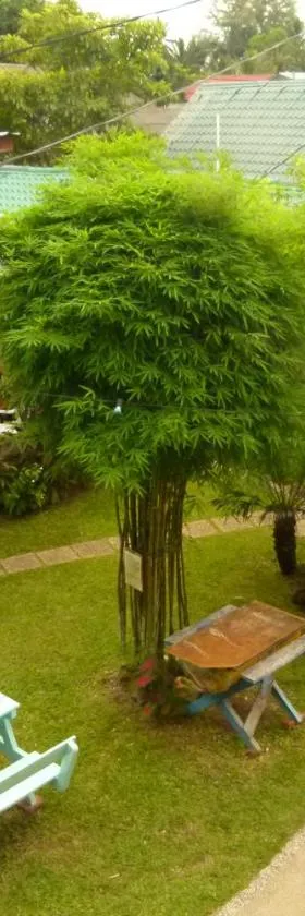 Cheers Garden Chalet，位于Kampung Tekek的酒店