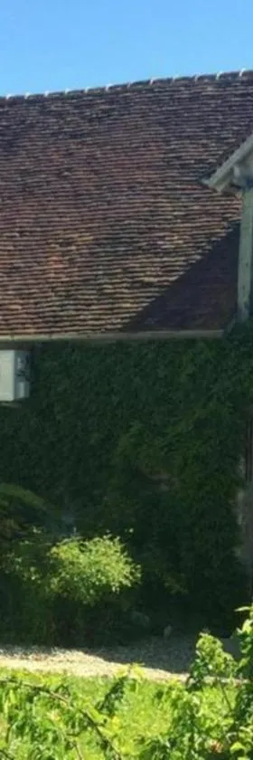 Un Figuier dans notre Jardin，位于Beaune-la-Rolande的酒店