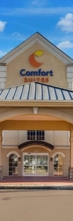 Comfort Suites Near University，位于北不伦瑞克的酒店