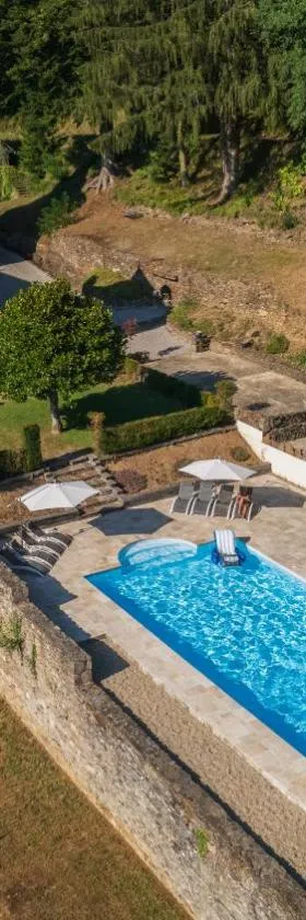 Château de Chauvac - Chambres et table d'hôtes avec vue sur la rivière，位于Bassignac-le-Bas的酒店