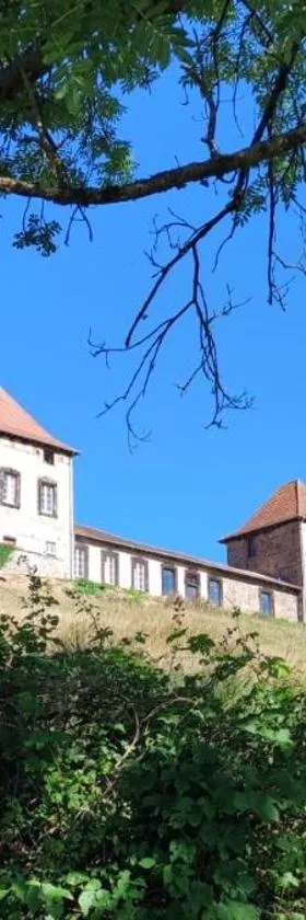 Château de Gorze，位于Germolles-sur-Grosne的酒店