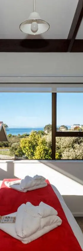 Unit 8 Kaiteri Apartments and Holiday Homes，位于凯特里特里的酒店