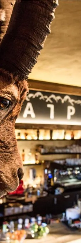 Alpenblick Weggis - Panorama & Alpen Chic Hotel，位于韦吉斯的酒店