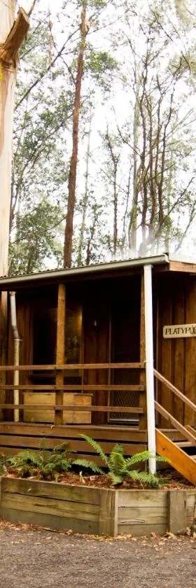 Tarra Valley Retreat，位于Tarra Valley的酒店
