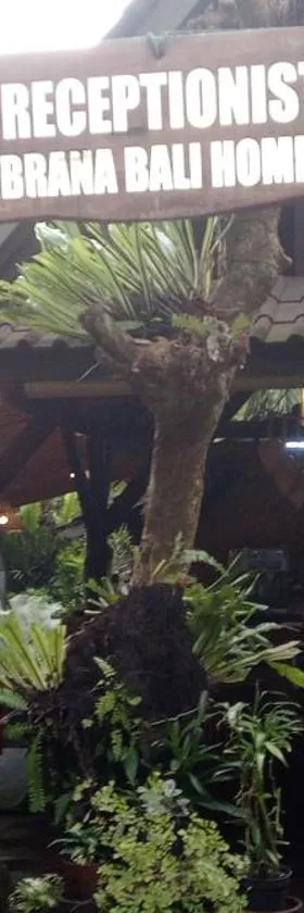 Jembrana Bali Homestay，位于Pengambengan的酒店