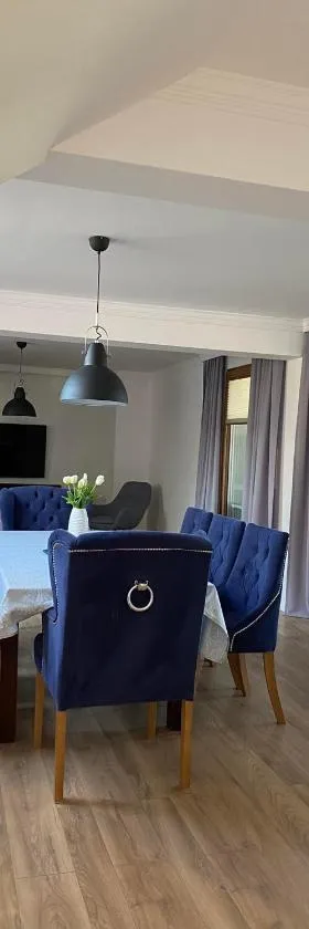 Apartament DeLux，位于帕斯文克的酒店
