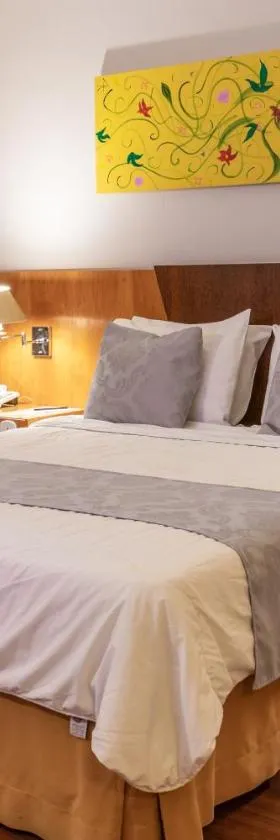 Dexter Hotel - Volta Redonda，位于沃尔塔雷东达的酒店