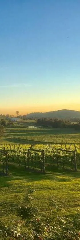 Mount Hope Estate Vineyard，位于Dixons Creek的酒店