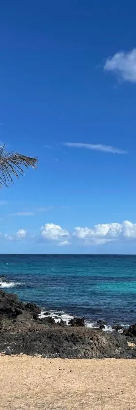 Casa Tortuga，位于蓬塔穆赫雷斯的酒店