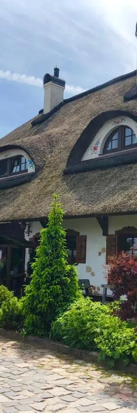 奥伊兹薇兹纳旅馆，位于Lesznowola的酒店
