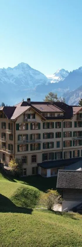 Historic Hotel Falken，位于翁根的酒店