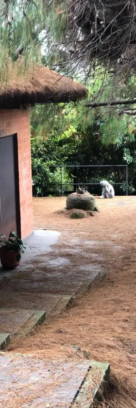 Cabaña Campestre La Rayuela-Fuquene，位于Fúquene的酒店