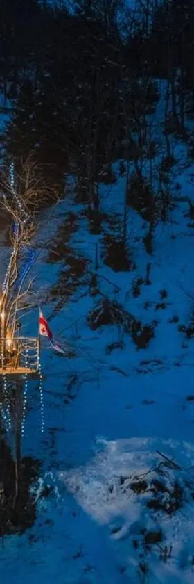 Tree House Ajara Mountains，位于Khulo的酒店