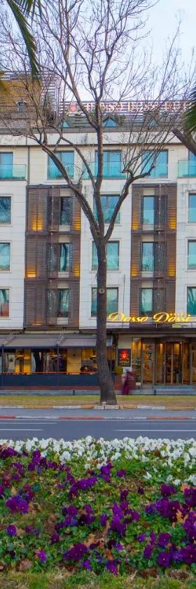 Dosso Dossi Hotels & SPA Downtown，位于伊斯坦布尔的酒店