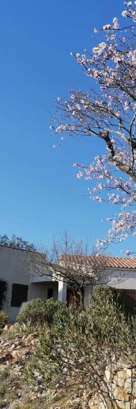 Les romarins，位于Saint-Jean-de-Minervois的酒店