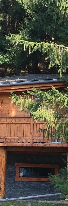 Chalet dans les Arbres，位于圣让多尔普的酒店
