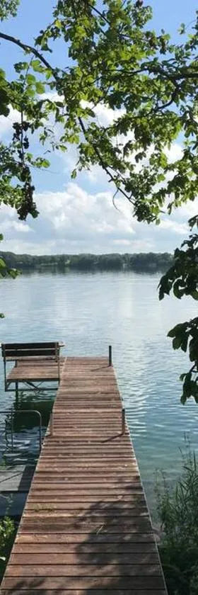 Restful Retreat on the Lake - Natural and Peaceful，位于Battle Lake的酒店
