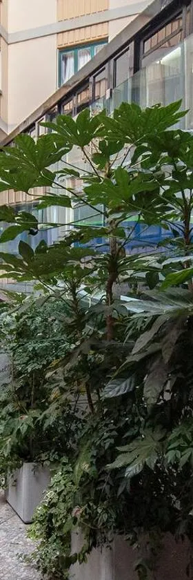 瑞士水族馆品质酒店，位于卢加诺的酒店