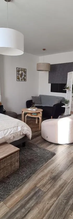La suite Volupté - SPA du Souffle du Saule，位于Buhl-Lorraine的酒店