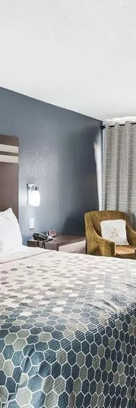 Red Carpet Inn & Suites NJ-73，位于哈蒙顿的酒店