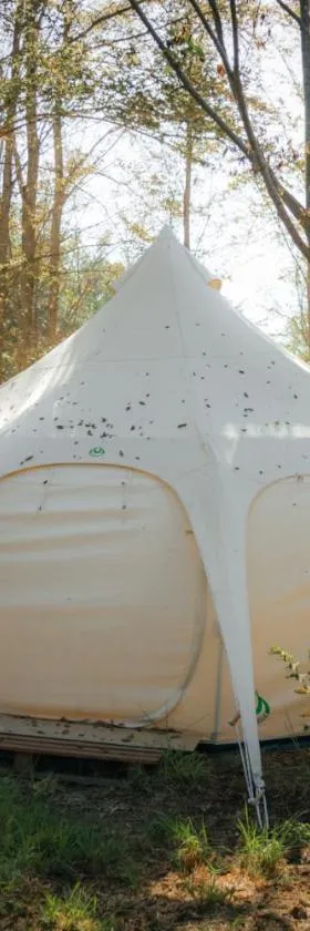 Glamping Remanso del Espíritu，位于伊斯拉德迈波的酒店