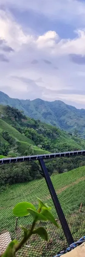 Casa Mostaza-Ecolodge，位于Samaná的酒店
