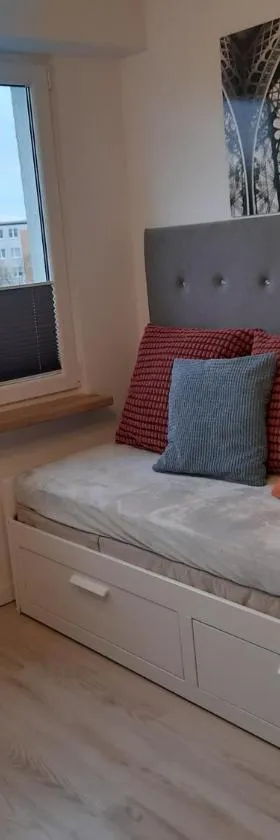 Family Suite Świecie，位于希维切的酒店