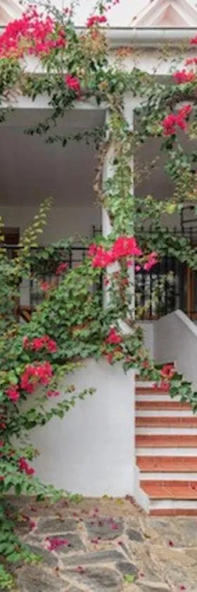 Casa rural collao de lobo，位于Serradilla的酒店