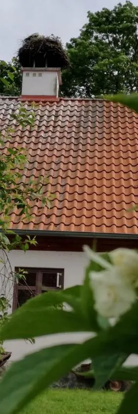 Żywkowo Bocianie Gospodarstwo Rolne，位于Górowo Iławeckie的酒店