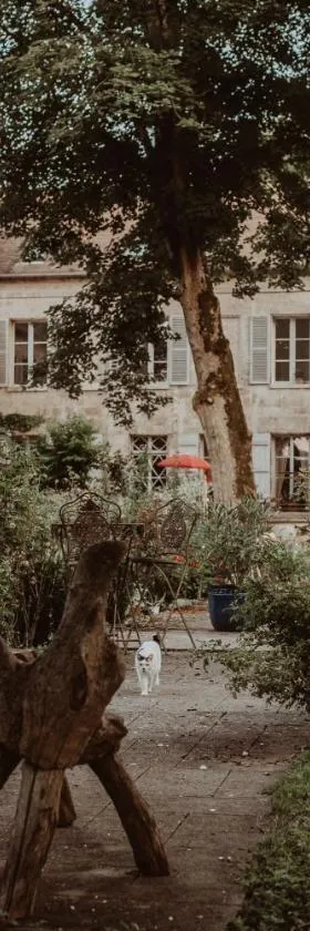 La Fontaine Racine - Chambres d'hôtes，位于La Ferté-Milon的酒店