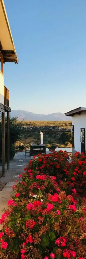 Eco Lodge Loro Tuerto，位于科金博的酒店