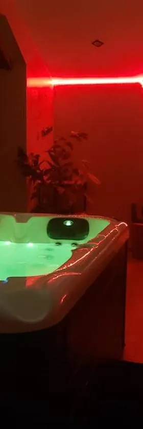 Bulles étoilées Appartement avec jacuzzi privé，位于Montrevel-en-Bresse的酒店