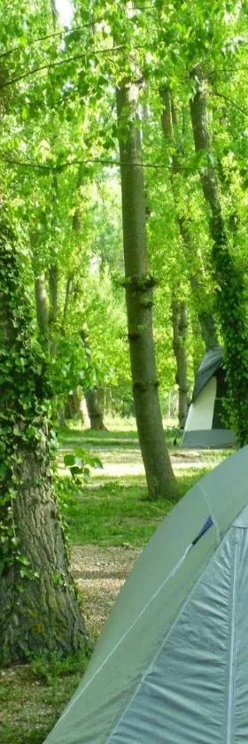 Camping Valle del Andarax，位于丰东的酒店