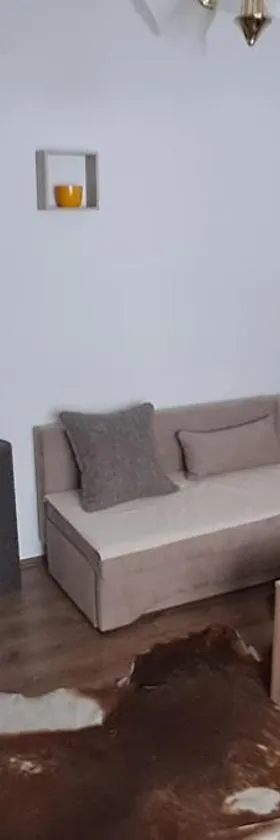 Apartman Regina，位于Sunger的酒店