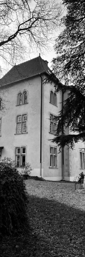 Bed and Breakfast Le Château de Morey，位于Morey的酒店