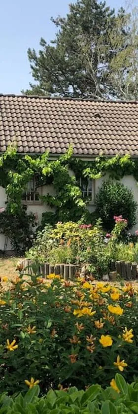 Maison St Florent，位于Saint-Florent的酒店