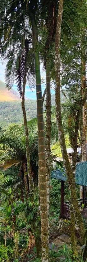 Rimba eco Resort，位于Tomohon的酒店