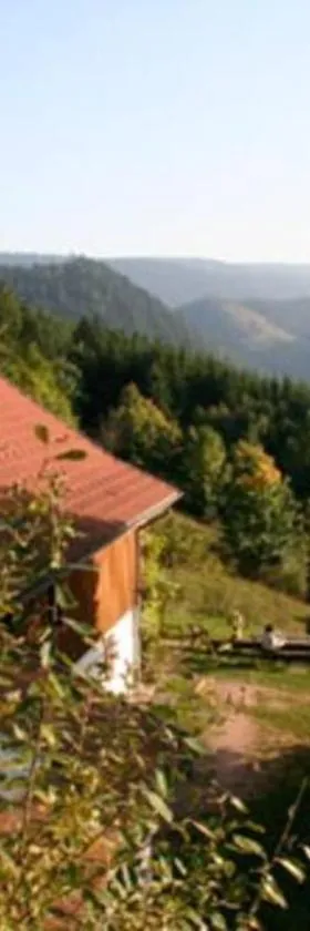 Appartement dans vielle ferme au coeur des Vosges，位于普兰凡的酒店