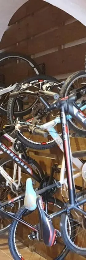 Cal Curpets - Bicicletas FREE，位于Puigvert de Agramunt的酒店