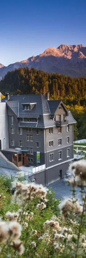 Hotel Wetterhorn，位于哈斯利伯格的酒店
