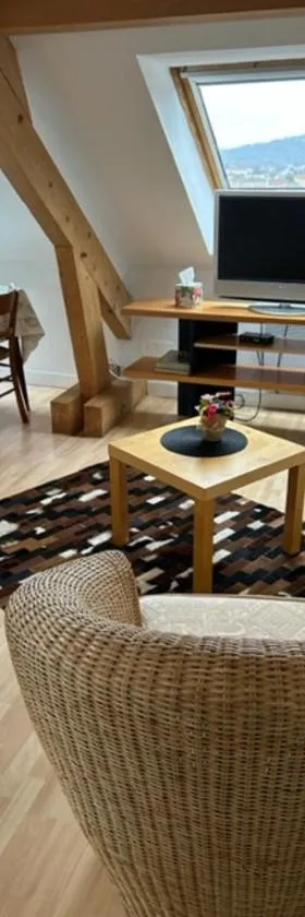 Appartement - Stiring-Wendel，位于Stiring-Wendel的酒店