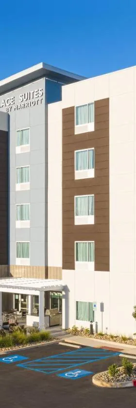 TownePlace Suites by Marriott Tuscaloosa，位于塔斯卡卢萨的酒店